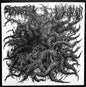 Spectral Voice / Blood Incantation: Split - 7-INCH SINGLE