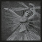 Neutral Milk Hotel - The Collected Works - Boxed Set LP