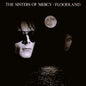 The Sisters of Mercy: Floodland - VINYL
