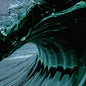Rainforest Spiritual Enslavement: Water Witches - CD