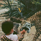 Unknown Mortal Orchestra - V - VINYL