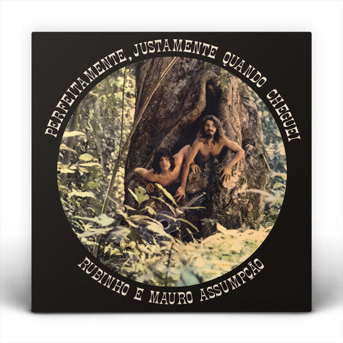 Rubinho e Mauro Assumpcao - Perfeitamente, Justamente Quando Cheguei - VINYL