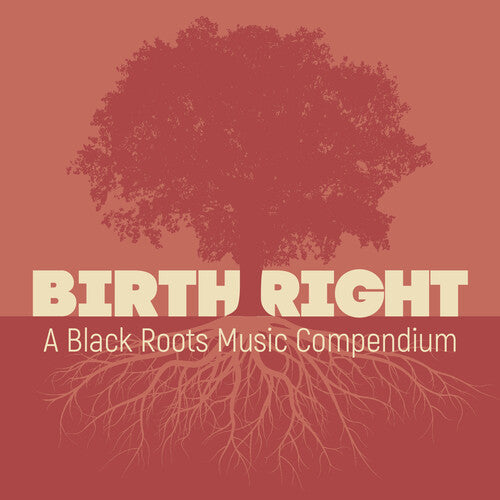 Various Artists: Birthright: A Black Roots Music Compendium (Various Artists) - CD