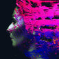 Steven Wilson: HAND.CANNOT.ERASE - VINYL