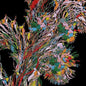 Weval: Remember - CD