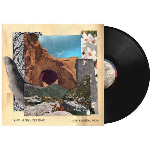 Dave Matthews Band - Walk Around The Moon - VINYL