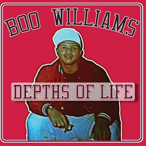 Boo Williams: Family Affair Vol. 1 (Various Artists) - VINYL
