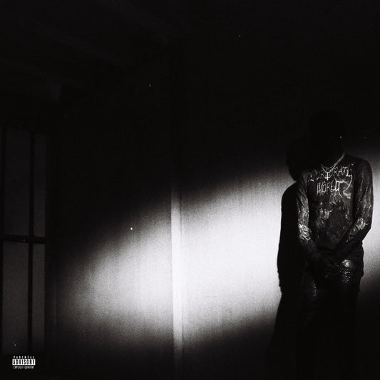 Destroy Lonely - No Stylist - VINYL