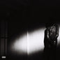 Destroy Lonely - No Stylist - VINYL