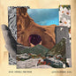 Dave Matthews Band - Walk Around The Moon - Indie LP