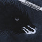 Firmament: We Don't Rise We Just Fall - VINYL