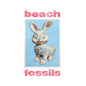 Beach Fossils - Bunny - VINYL