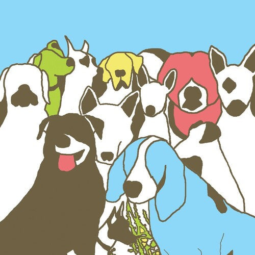 The Format - Dog Problems - VINYL