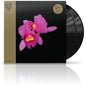 Opeth - Orchid - VINYL