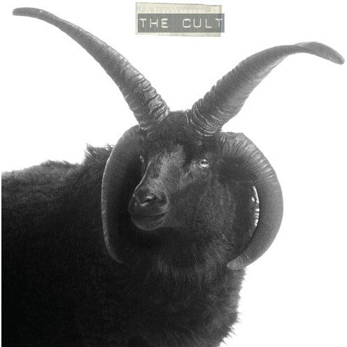 The Cult - The Cult - VINYL