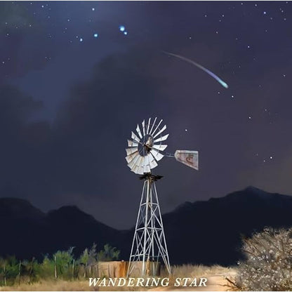 Flatland Cavalry - Wandering Star - VINYL