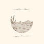 Gregory Alan Isakov - Appaloosa Bones - VINYL