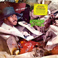 Swamp Dogg: Gag A Maggott - VINYL