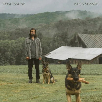 Noah Kahan - Stick Season - VINYL