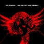 The Offspring - Rise And Fall, Rage And Grace - VINYL