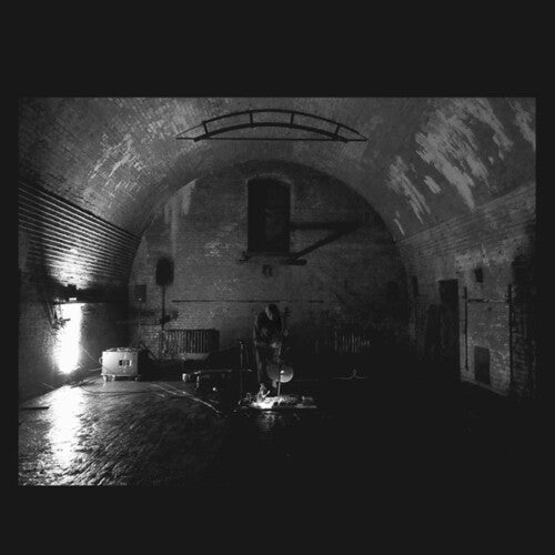 Svarte Greiner: Devolving Trust - VINYL