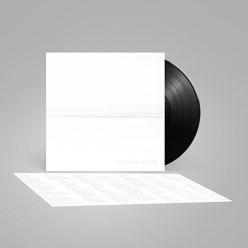 Foo Fighters -  But Here We Are - VINYL