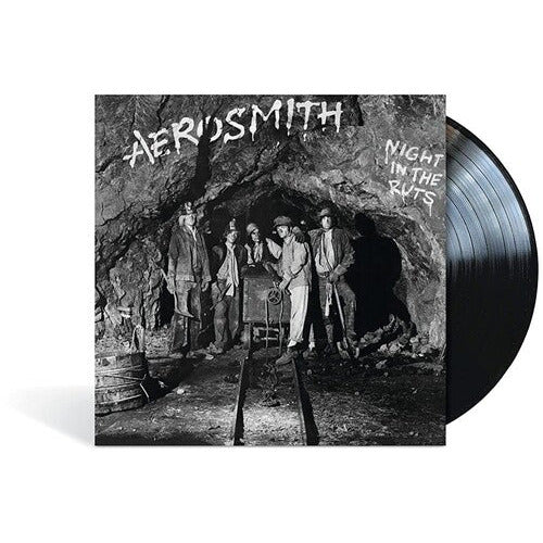 Aerosmith - Night In The Ruts - VINYL