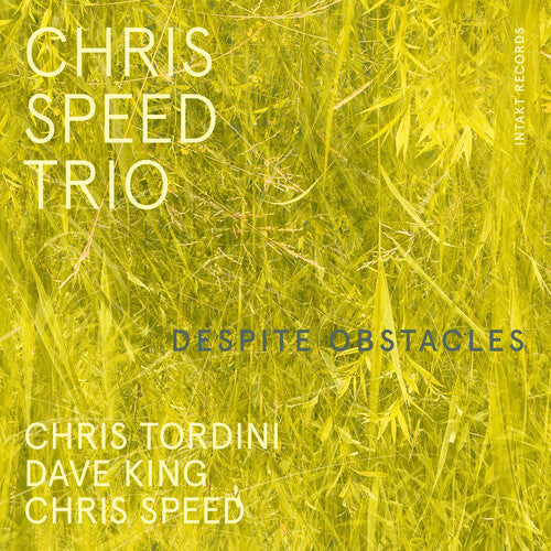 Chris Speed Trio: Despite Obstacles - CD