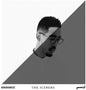 Oddisee: The Iceberg - VINYL