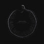 Sylosis: A Sign of Things to Come - CD
