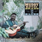 Muddy Waters - Muddy, Brass & The Blues - VINYL