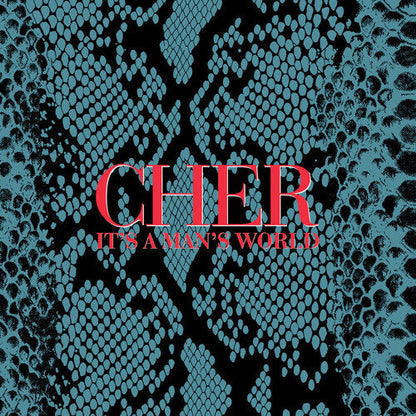 Cher - It's a Man's World - VINYL