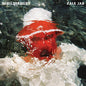 Pale Jay: Bewilderment - VINYL