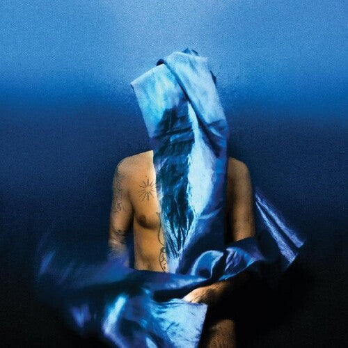 Devendra Banhart: Flying Wig - VINYL