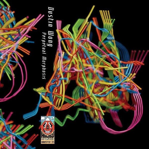 Dustin Wong: Perpetual Morphosis - CASSETTES