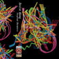 Dustin Wong: Perpetual Morphosis - CASSETTES