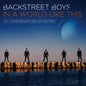 Backstreet Boys - In A World Like This - VINYL