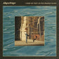 Allegra Krieger: I Keep My Feet On The Fragile Plane - VINYL
