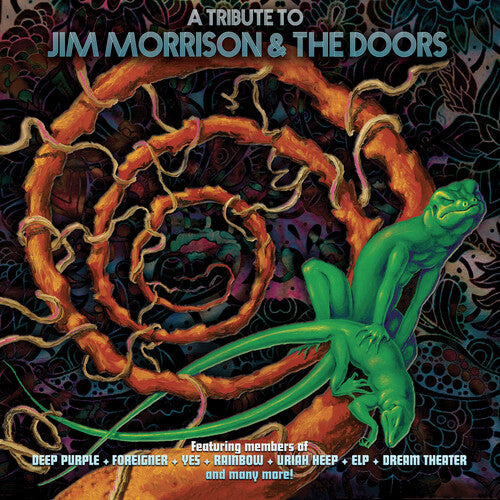 Various Artists: Tribute To Jim Morrison & The Doors (Various Artists) - VINYL