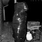 The Crave: Inner War Delirium - VINYL