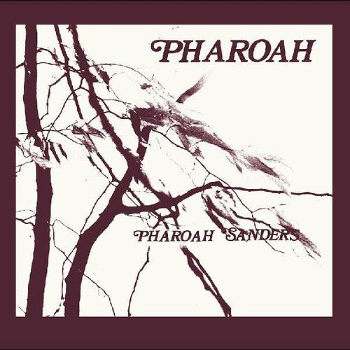 Pharoah Sanders: Pharoah - CD