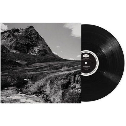Andrew Bird - Outside Problems - VINYL