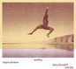 Wayne Phoenix: Soaring Wayne Phoenix Story The Earth And Sky - VINYL