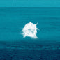 Pacal Savy: Simulacra - CD