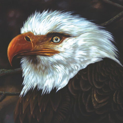 Mogwai - The Hawk Is Howling - VINYL