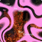 Lord of the Magi: Soul Exchange - VINYL