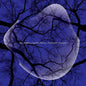 Angelica Sanchez Nonet: Nighttime Creatures - CD