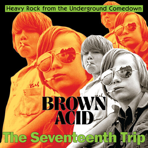 Various Artists - Brown Acid: The Seventeenth Trip - VINYL