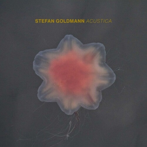 Stefan Goldmann: Acustica - CD