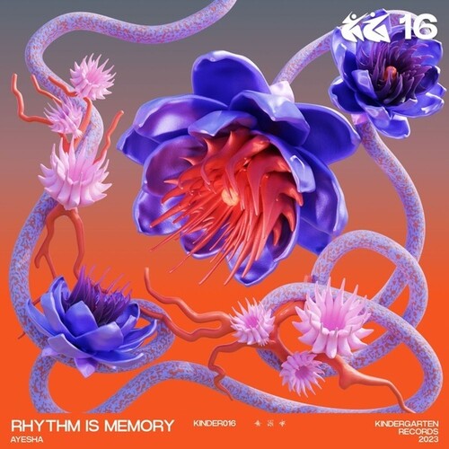 Ayesha: Rhythm Is Memory - VINYL